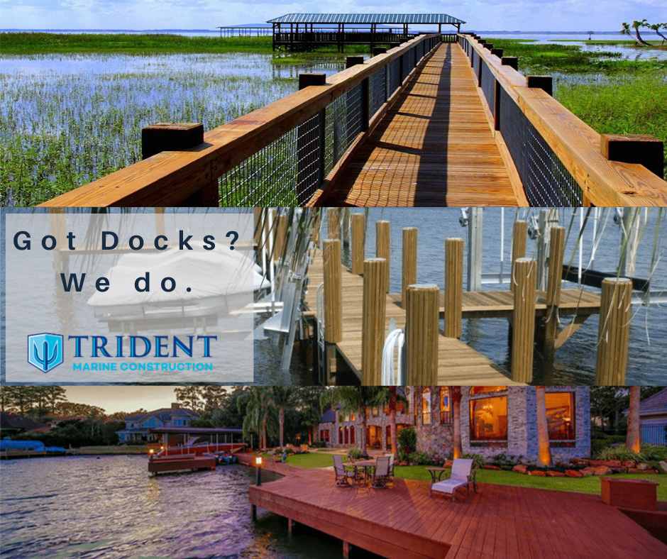 Dock Collage - Trident H2O